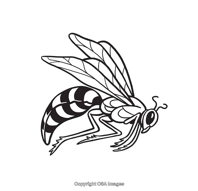 Black and White Line Art Illustration of a Flying Wasp
