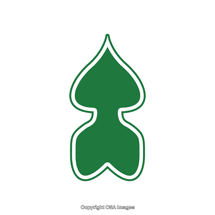 Green Spade-Leaf Shaped Emblem on a White Background