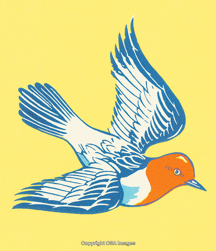 Illustrated Flying Bird on Yellow Background with Artistic Color Contrasts