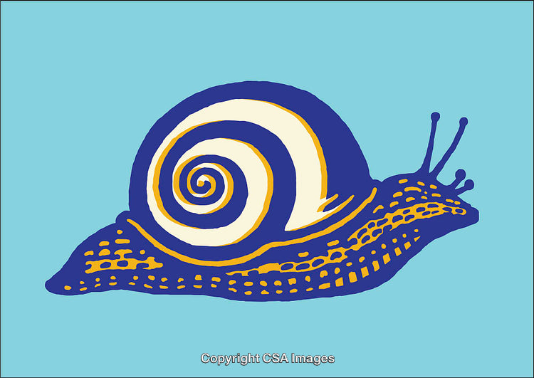Colorful Abstract Illustration of a Snail in Vibrant Blue and Yellow