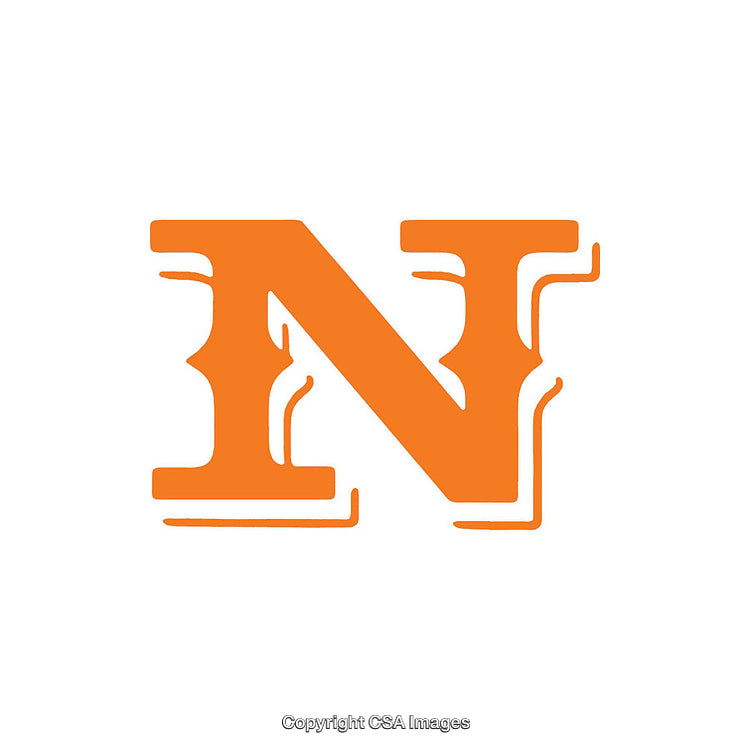 Decorative Orange Letter N with Unique Edging on White Background