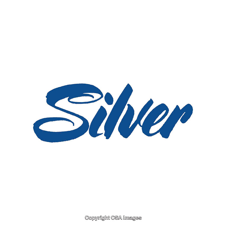 Elegant Blue Script Typography Design on White Background