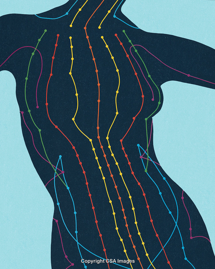 Colorful Representation of Anatomical Pathways on Human Silhouette