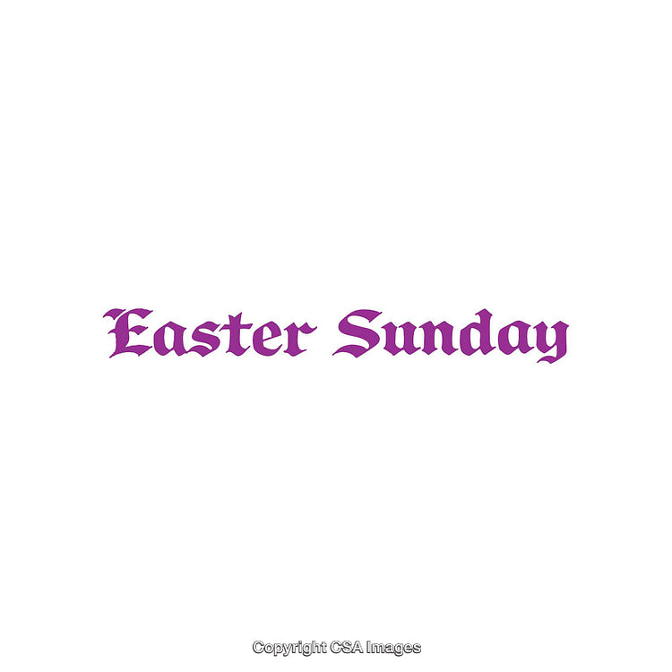 Elegant Purple Easter Sunday Text on a Simple White Background