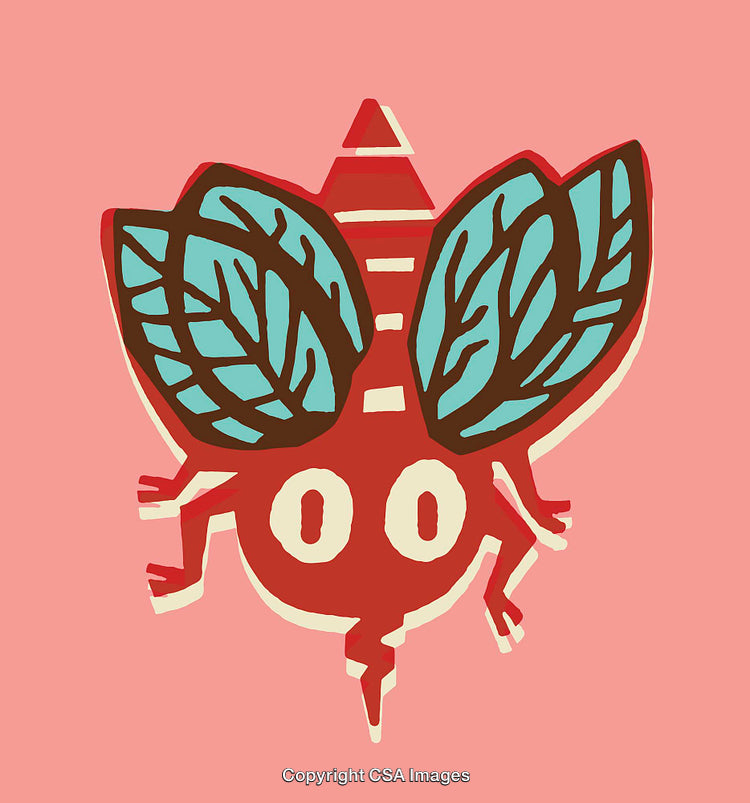 Colorful Line Art Illustration of a Decorative Red Insect Design