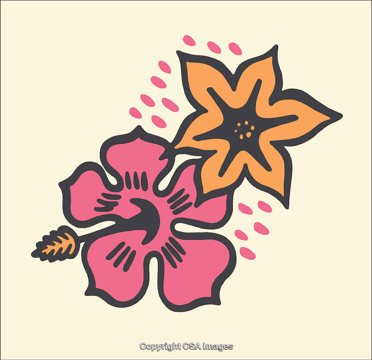 Colorful Hibiscus and Star Flower Illustration on Light Background