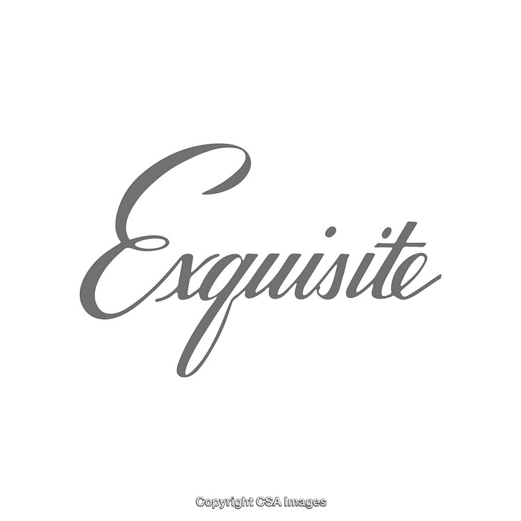 Elegant Calligraphic Typography Featuring the Word 'Exquisite'