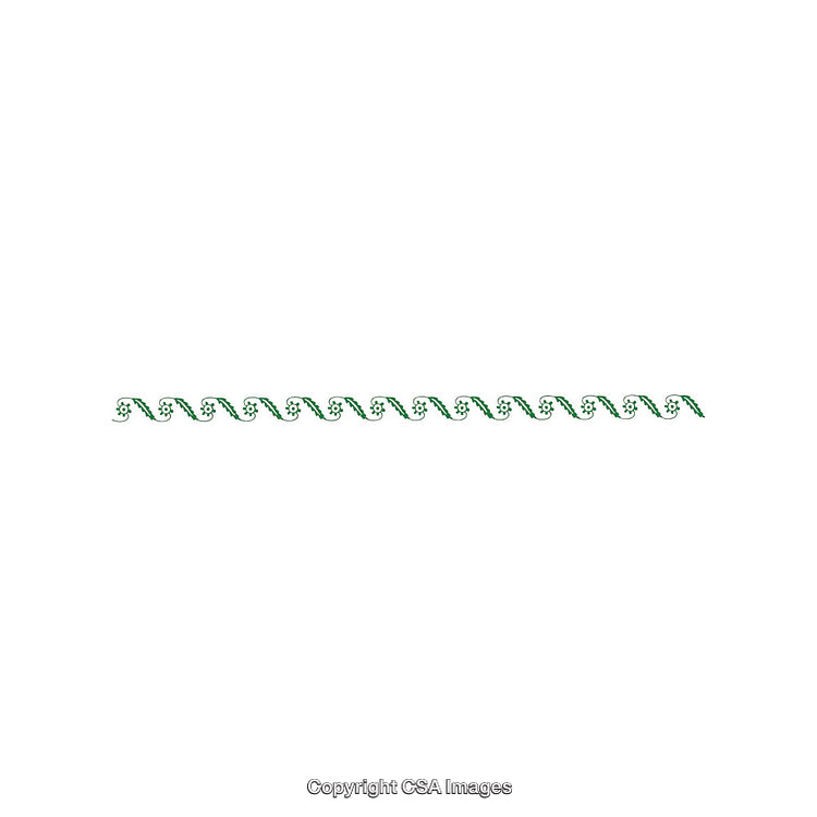 Decorative Border With Floral Pattern and Green Leaves on White Background