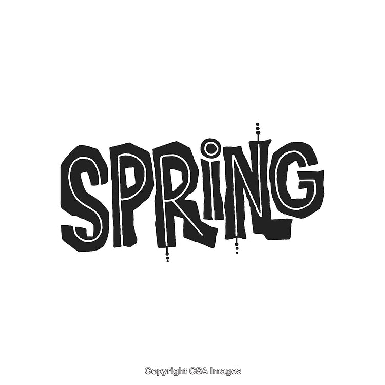 Black and White Graphic Artwork Featuring the Word 'Spring' in Creative Style