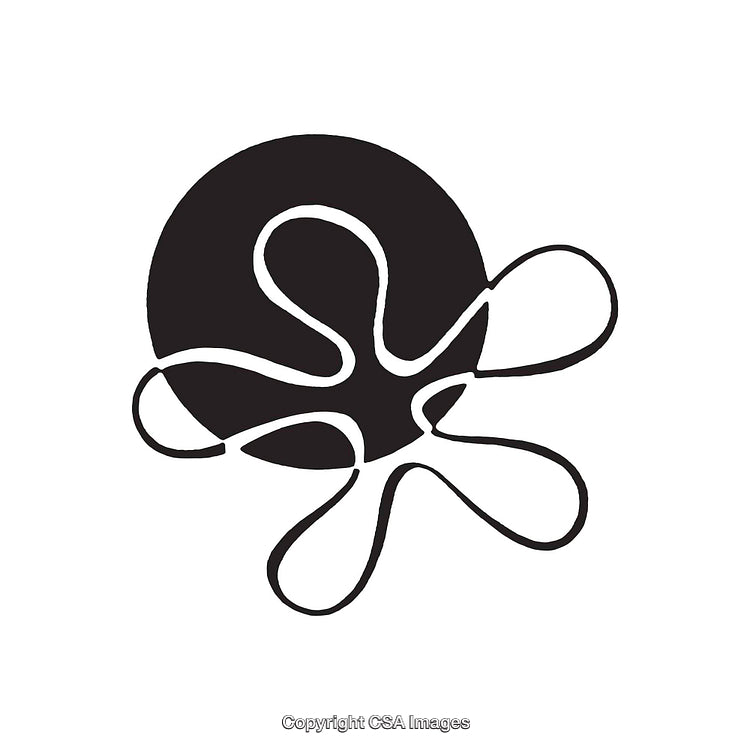 Abstract Black and White Ink Line Design on a Clean Background