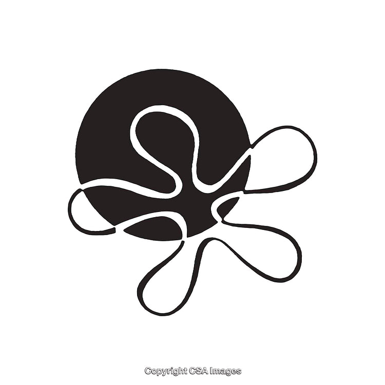 Abstract Black and White Ink Line Design on a Clean Background