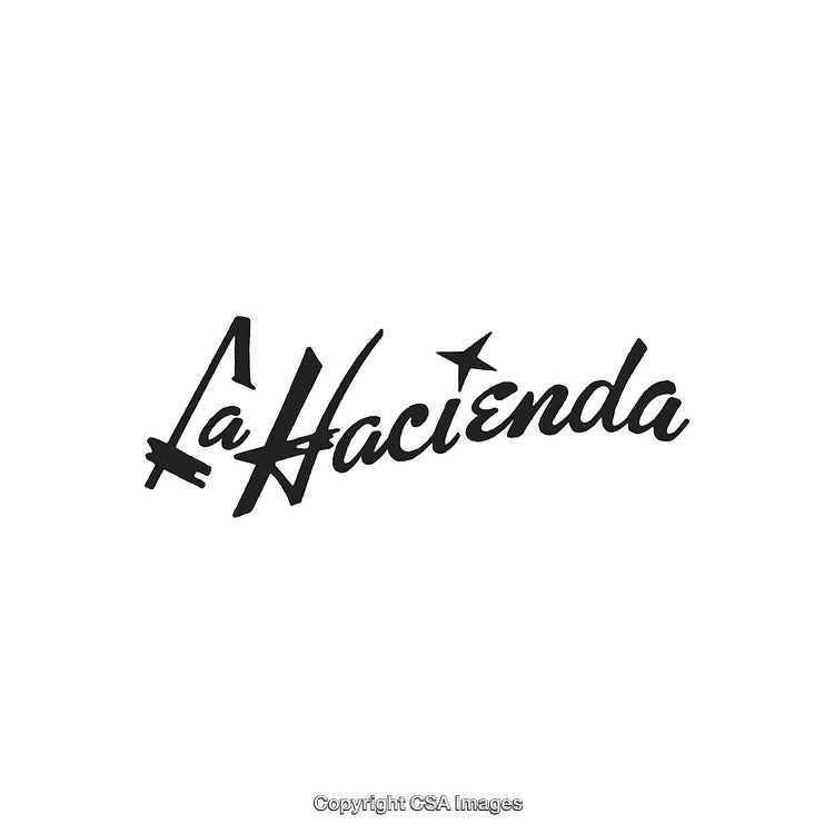 Elegant Script Logo Design Highlighting Classic Typography