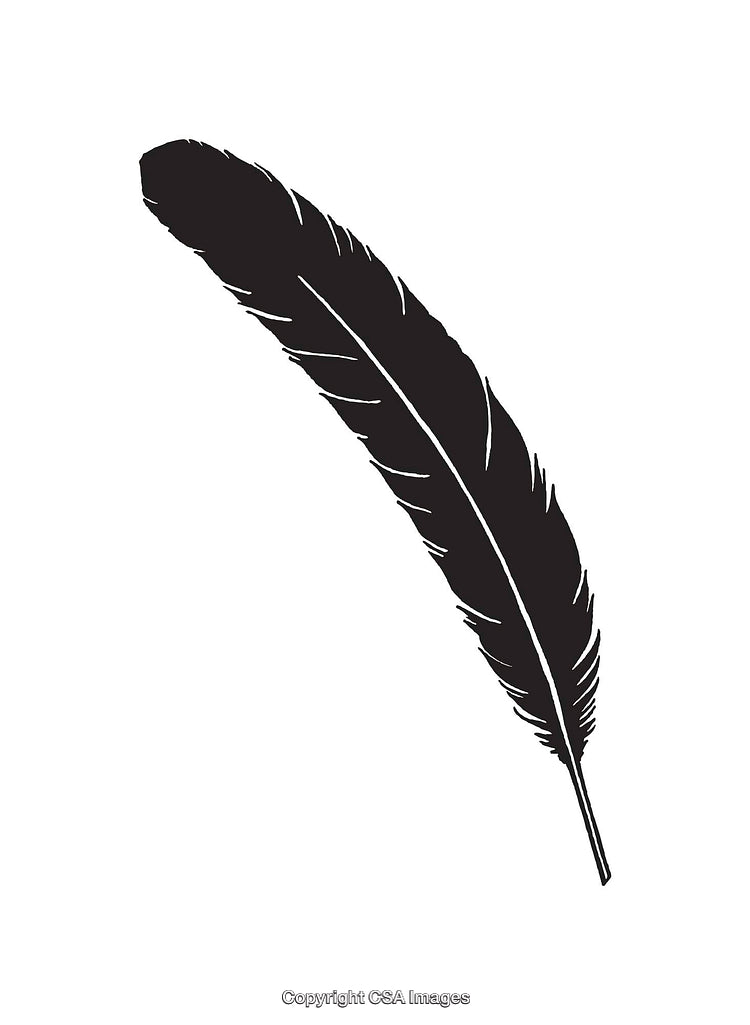 Minimalist Black and White Feather Line Art Illustration Isolated on White