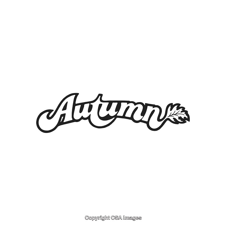 Stylized Autumn Text With Decorative Leaf Element in Bold Calligraphy