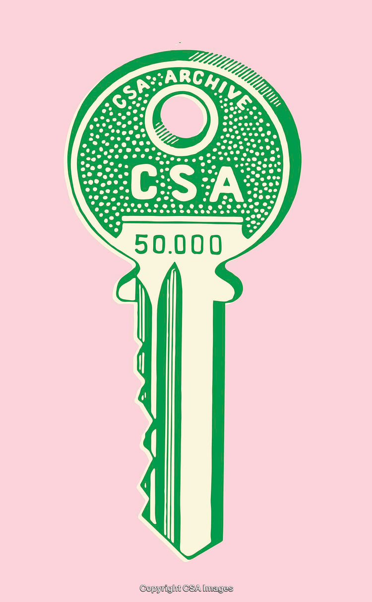 Vintage Green Key on Minimal Pink Background Illustration