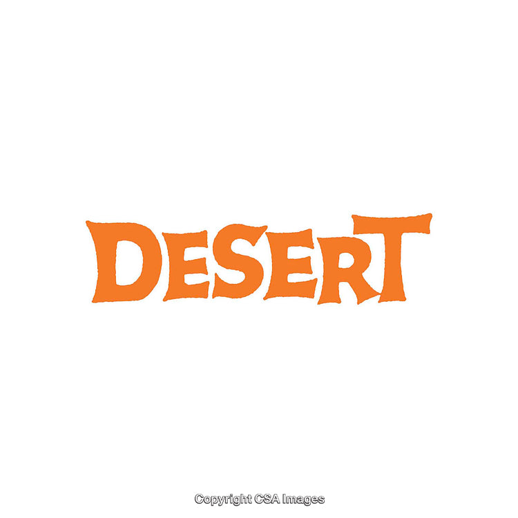 Bright Orange Desert-Themed Text Design on White Background