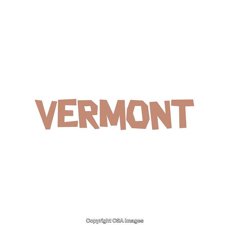 Vermont Text Design With Abstract Block Style on White Background