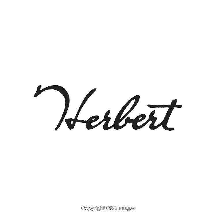 Elegant Handwritten Script Featuring the Word Herbert in Dark Ink
