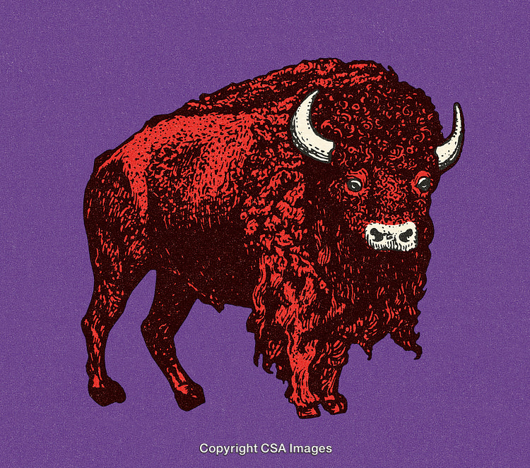 Vintage Illustration of a Red Buffalo on a Vibrant Purple Background