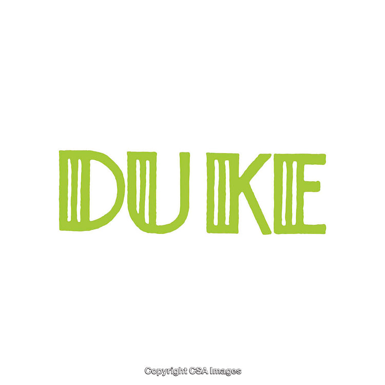 Green Duke Logo with Creative Text Design on White Background