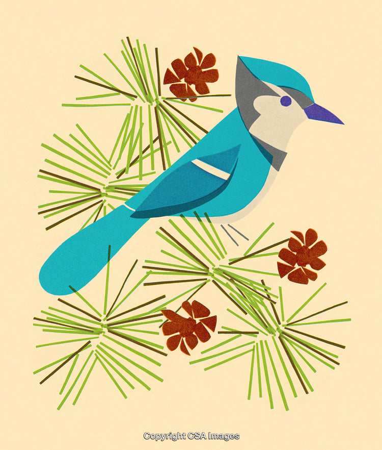 Colorful Illustration of Bluebird on Pine Tree with Cones in Minimalistic Design