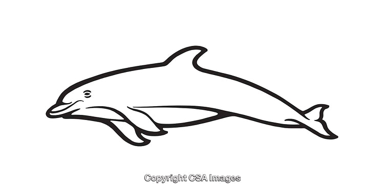 Black and White Line Art Illustration of a Dolphin