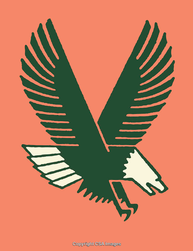 Abstract Green Eagle Design with Wings Spread on a Coral Background