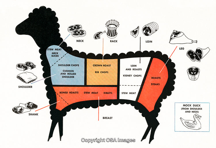 Butcher's Diagram of Lamb Cuts with Illustrated Sections