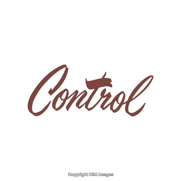 Stylized Word Design Featuring the Term Control in Brown Calligraphy