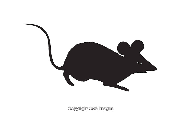 Silhouette Illustration of a Mouse in Profile with Tail and Ears Visible