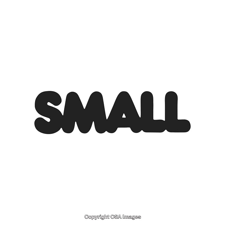 Bold Black Word Art Featuring the Term 'Small' on a White Background