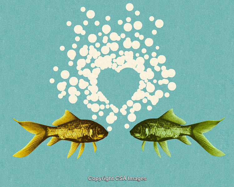 Two Fish Creating a Heart Shape with Bubble Patterns on Blue Background
