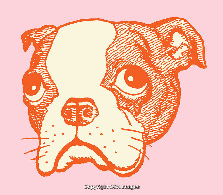 Line Art Illustration of a Sad Dog Face on a Pink Background