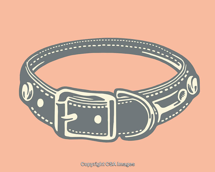 Illustration of a Classic Dog Collar with Polished Buckle Details
