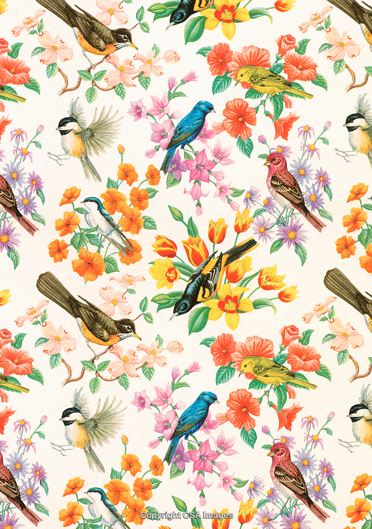 Bird pattern