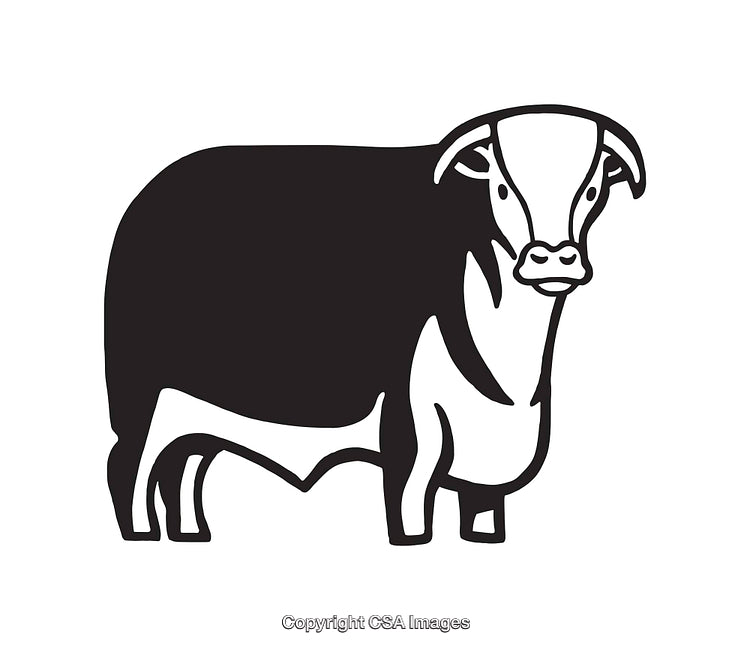 Black and White Line Art Illustration of a Cow with Simple Details
