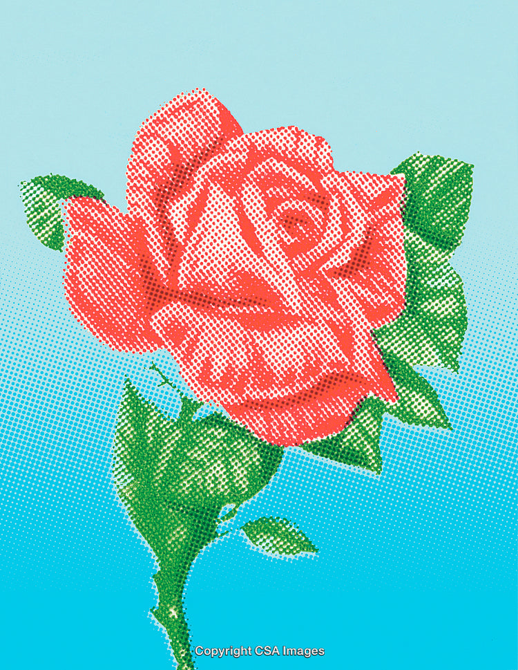 Halftone Red Rose Illustration on Blue Gradient Background