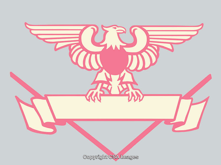 Abstract Eagle Illustration with Ribbon Banner on a Grey Background