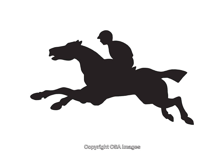 Silhouette of a Horse Jumping Over an Obstacle With a Rider