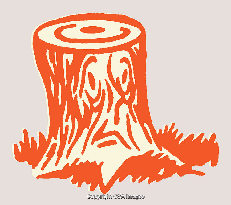 Illustrative Line Art Depicting a Whimsical Tree Stump in Vibrant Colors
