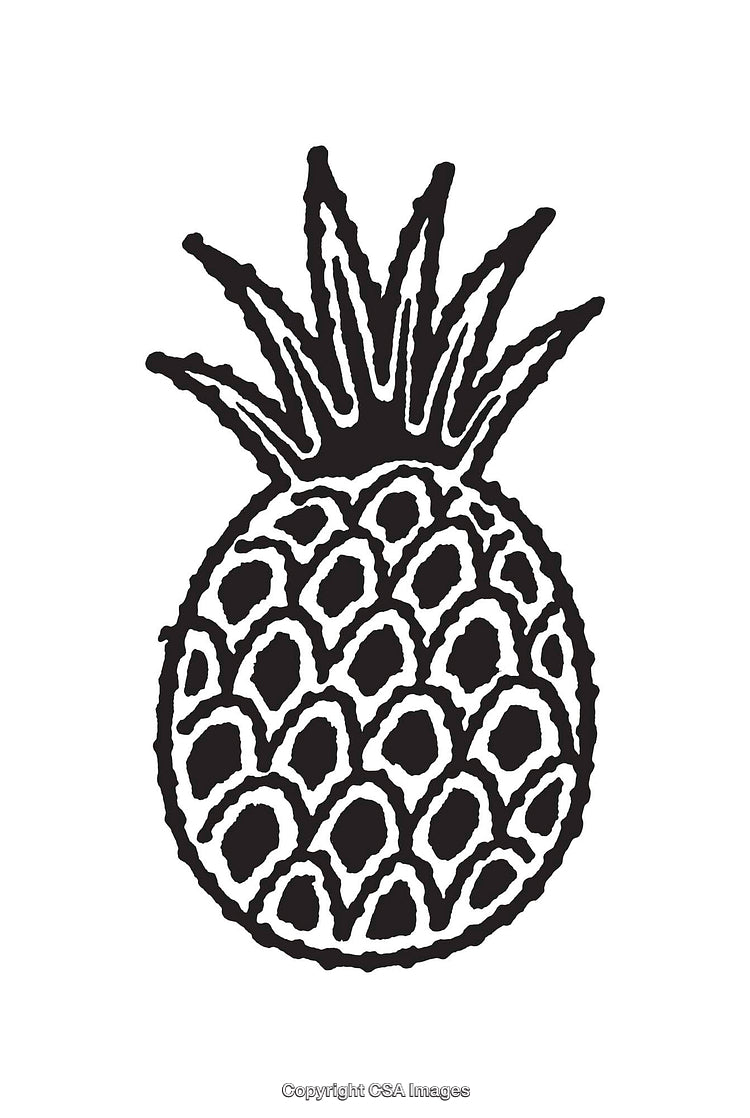 Black and White Line Art Illustration of a Pineapple with Detailed Texture
