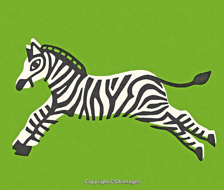 Jumping Zebra Illustration with Green Background Showcasing Creativity and Nature