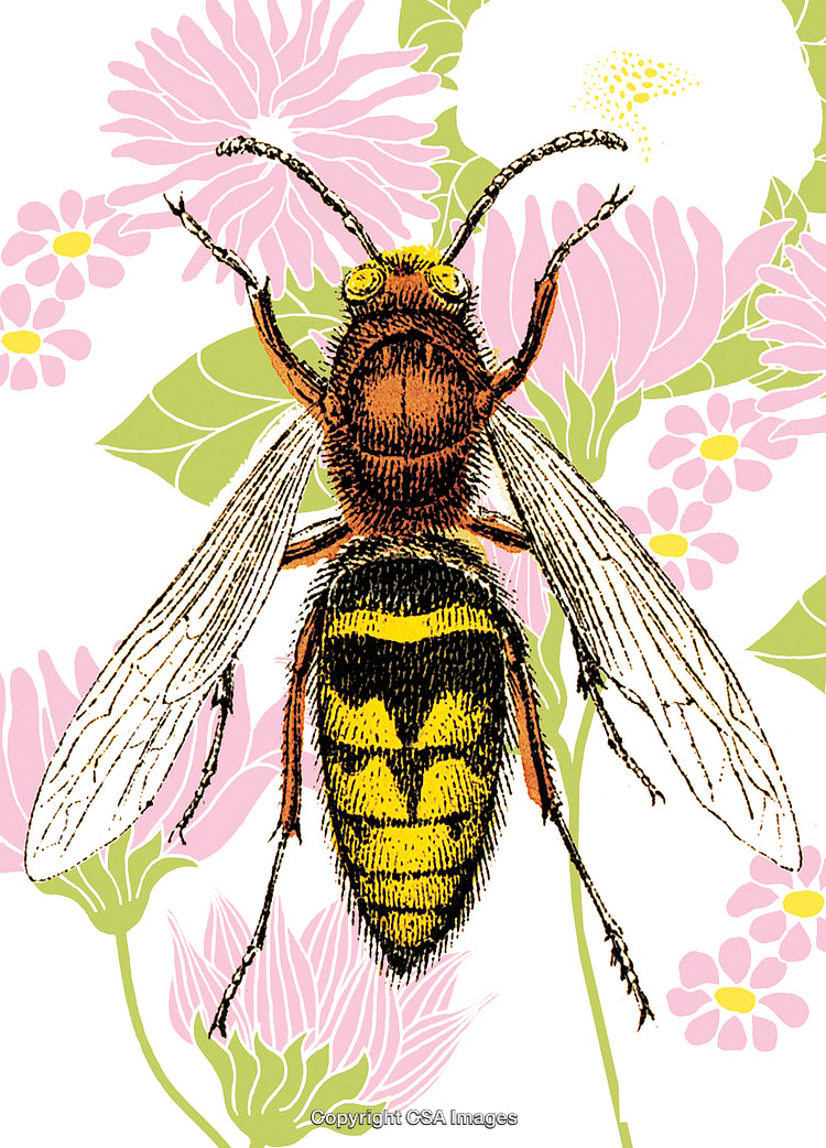 Detailed Illustration of a Bee With Blossoming Flowers in the Background