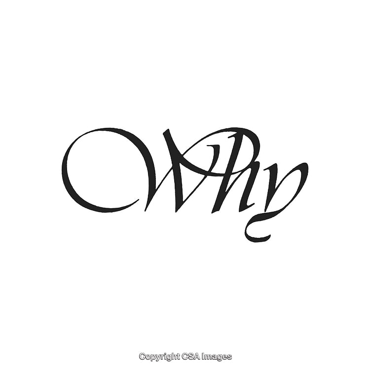 Stylized Calligraphic Design Featuring the Word 'Why' in Elegant Script