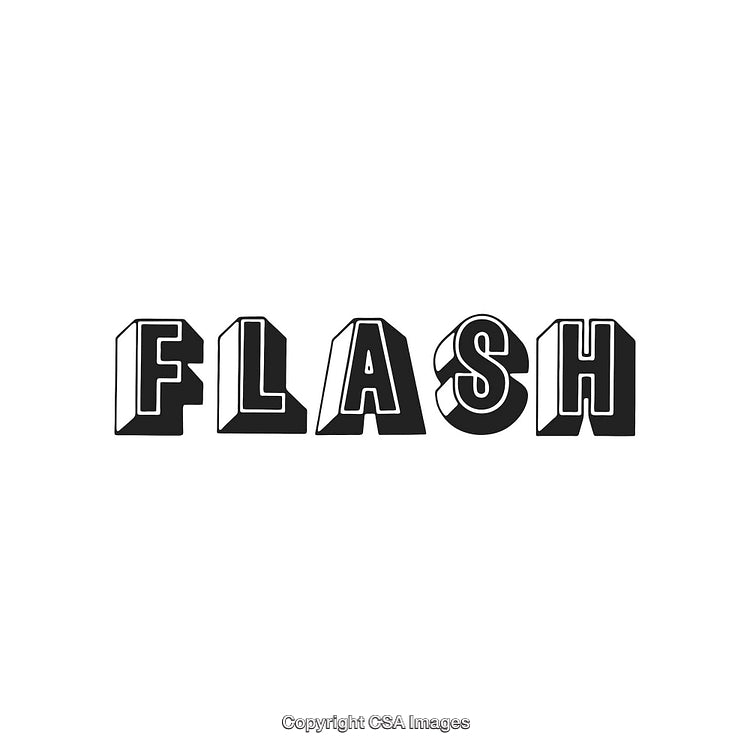 Bold Black and White Stylized Text Depicting the Word 'Flash'