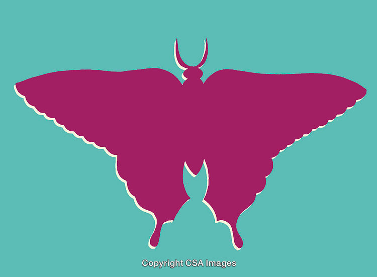 Colorful Butterfly Silhouette on Turquoise Background Illustration