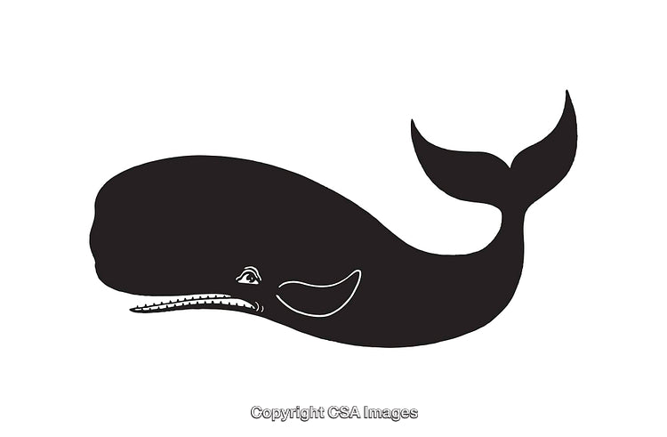 Black And White Illustration of a Sperm Whale Silhouette