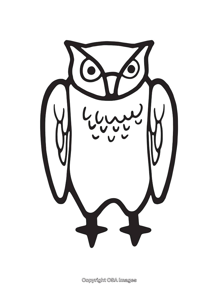 Black and White Line Art Illustration of a Cartoon Owl