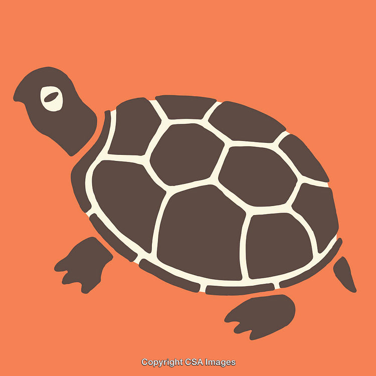 Minimalistic Brown Turtle Illustration on Orange Background