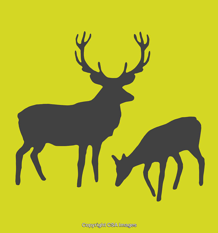 Silhouettes of Deer Pair Set Against a Vibrant Lime Green Background